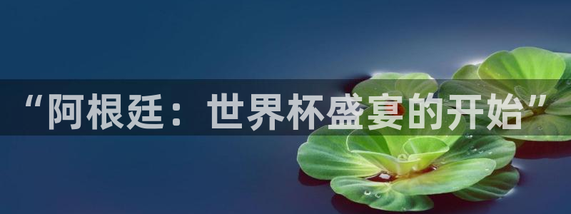 2026世界杯赛制：“阿根廷：世界杯盛宴的开始”