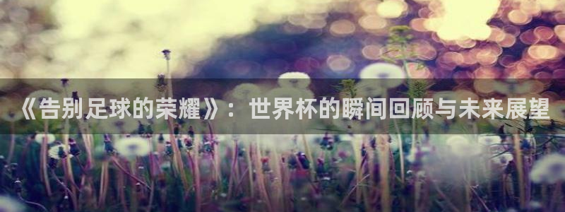 世界杯预选赛2026：《告别足球的荣耀》：世界杯的瞬间回顾与未来展望