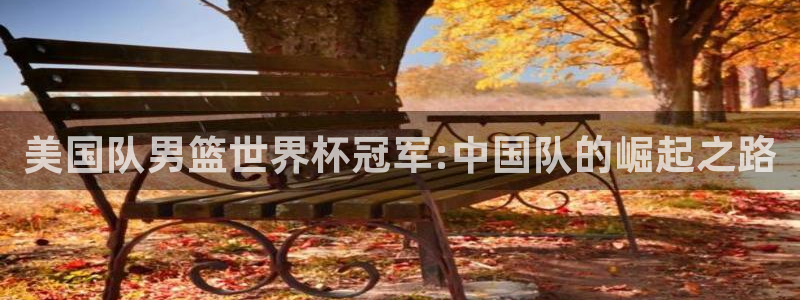欧洲世界杯预选赛：美国队男篮世界杯冠军:中国队的崛起之路