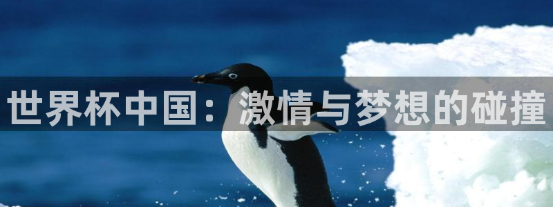 世界杯葡萄牙赛程：世界杯中国：激情与梦想的碰撞
