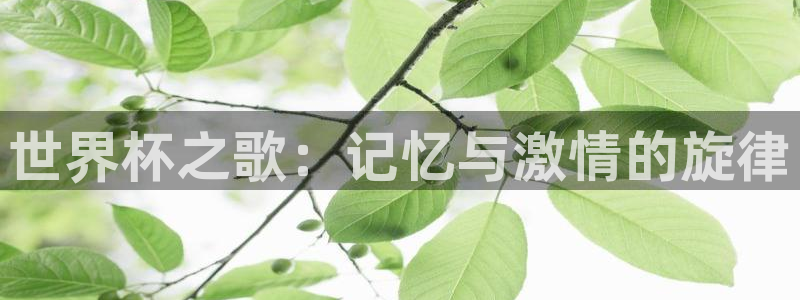 世界杯预选赛欧洲赛区积分榜：世界杯之歌：记忆与激情的旋律
