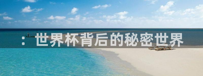 世界杯：：世界杯背后的秘密世界