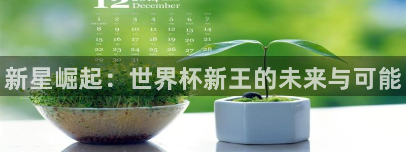 世界杯足球2026：新星崛起：世界杯新王的未来与可能