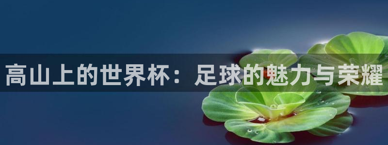 世界杯预选赛2026：高山上的世界杯：足球的魅力与荣耀
