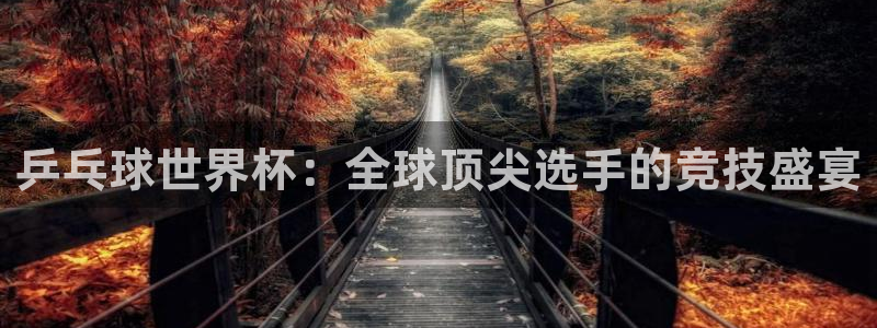 世界杯今年：乒乓球世界杯：全球顶尖选手的竞技盛宴
