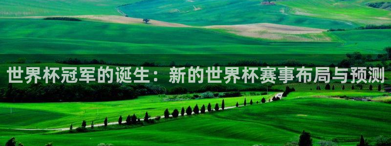 2026世界杯足球赛程时间表：世界杯冠军的诞生：新的世界杯赛事布局与预测
