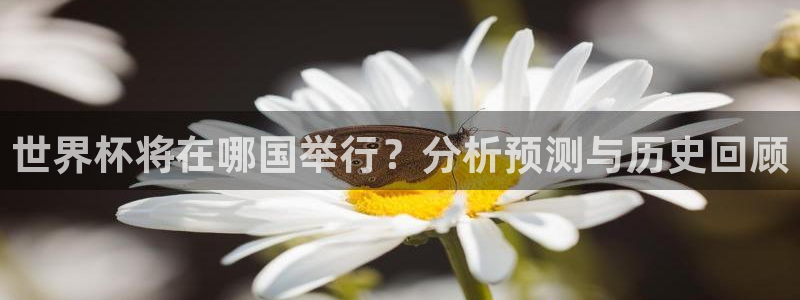 2026世界杯足球赛程时间表：世界杯将在哪国举行？分析预测与历史回顾