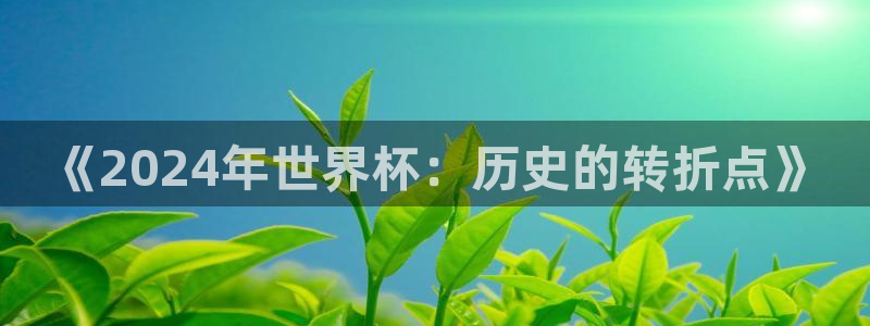 世界杯欧洲区预选赛：《2024年世界杯：历史的转折点》