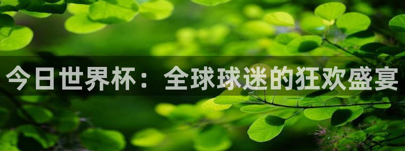 世界杯直播高清：今日世界杯：全球球迷的狂欢盛宴