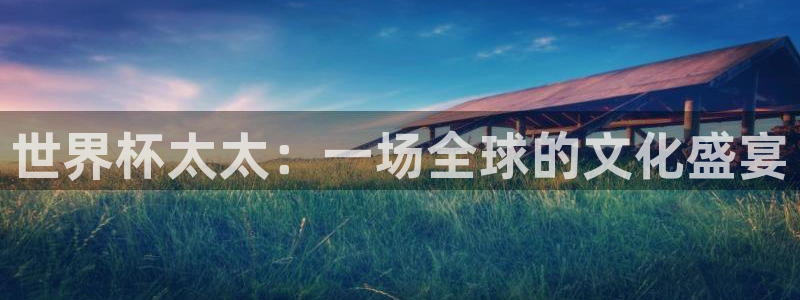 世界杯对阵图2026：世界杯太太：一场全球的文化盛宴